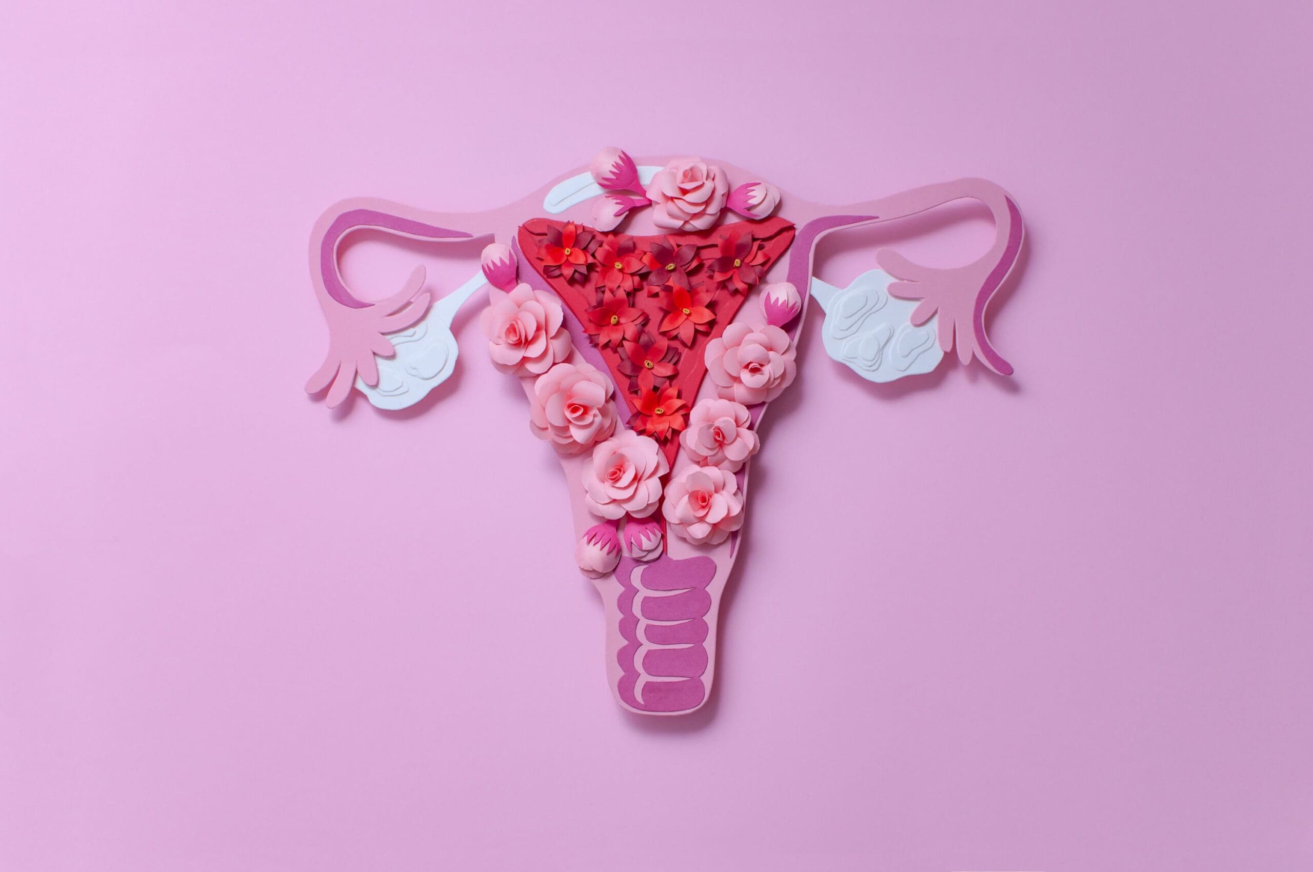 14-facts-about-female-reproductive-system