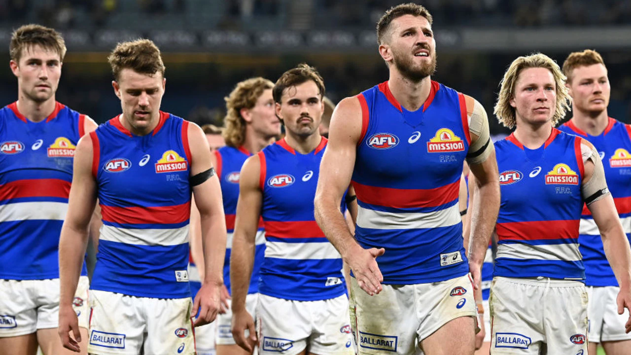 14-facts-about-western-bulldogs