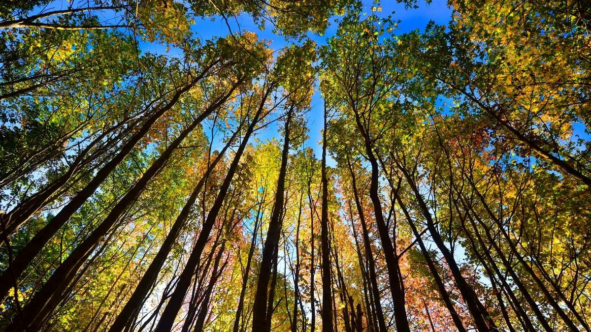 15-facts-about-autumnal-fall-equinox