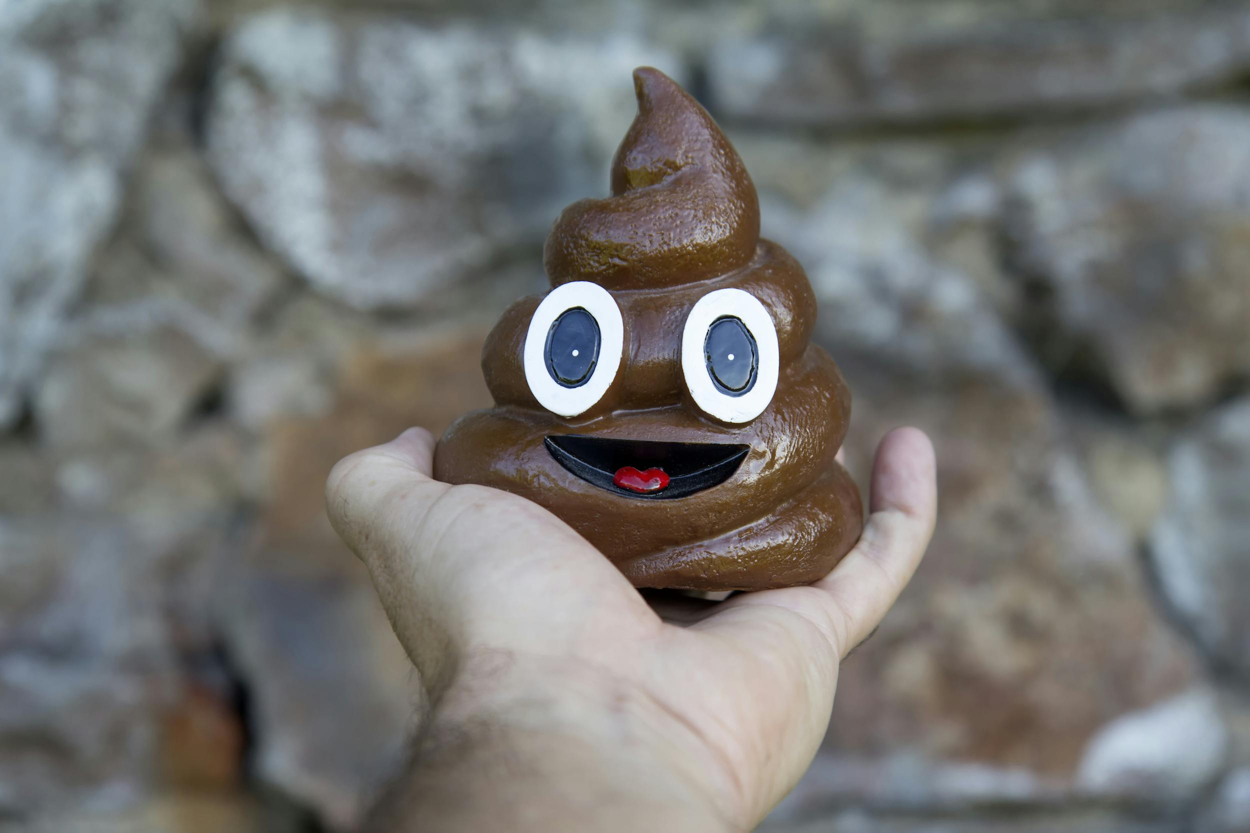 15-facts-about-feces