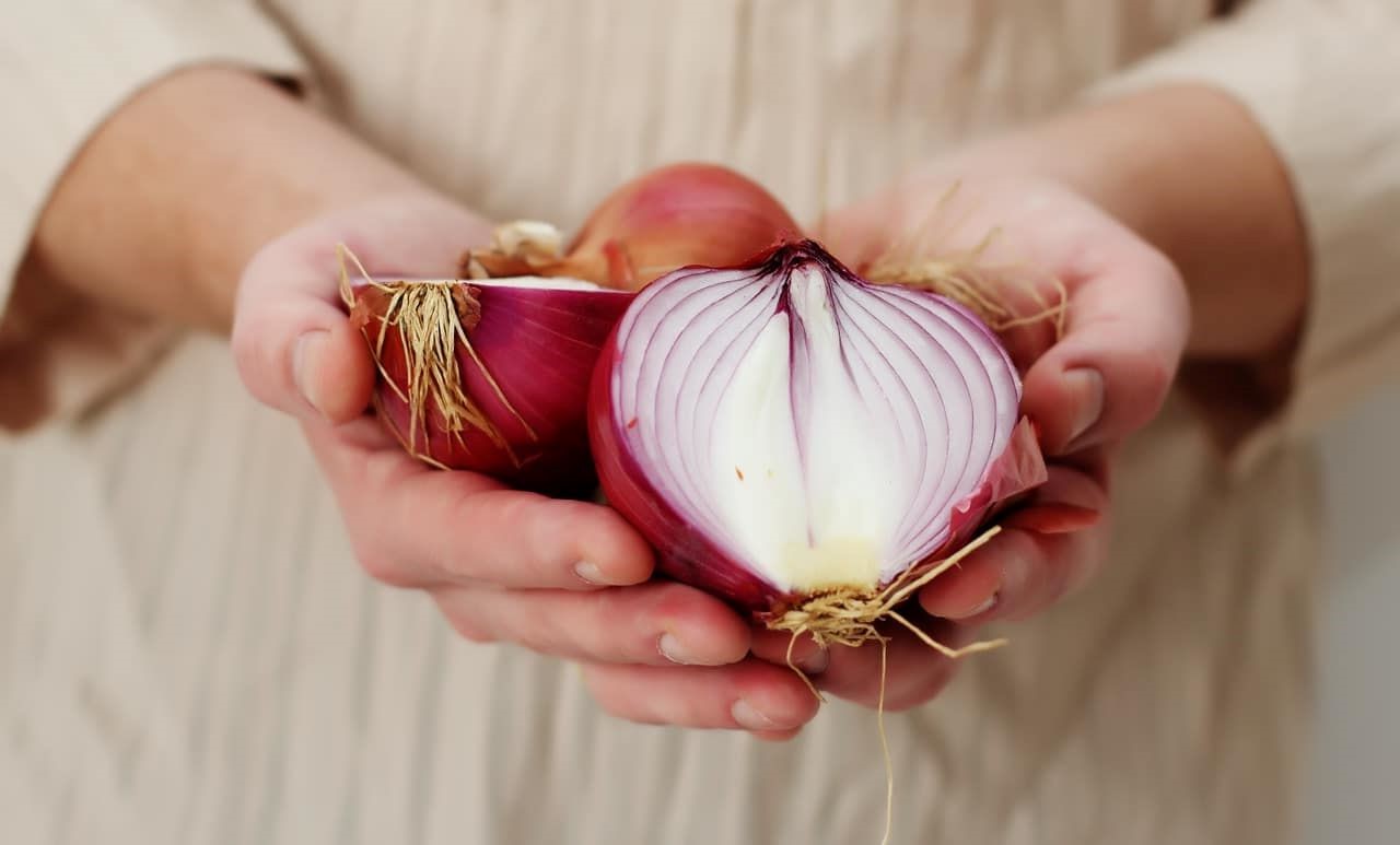 15-facts-about-red-onion-nutrition