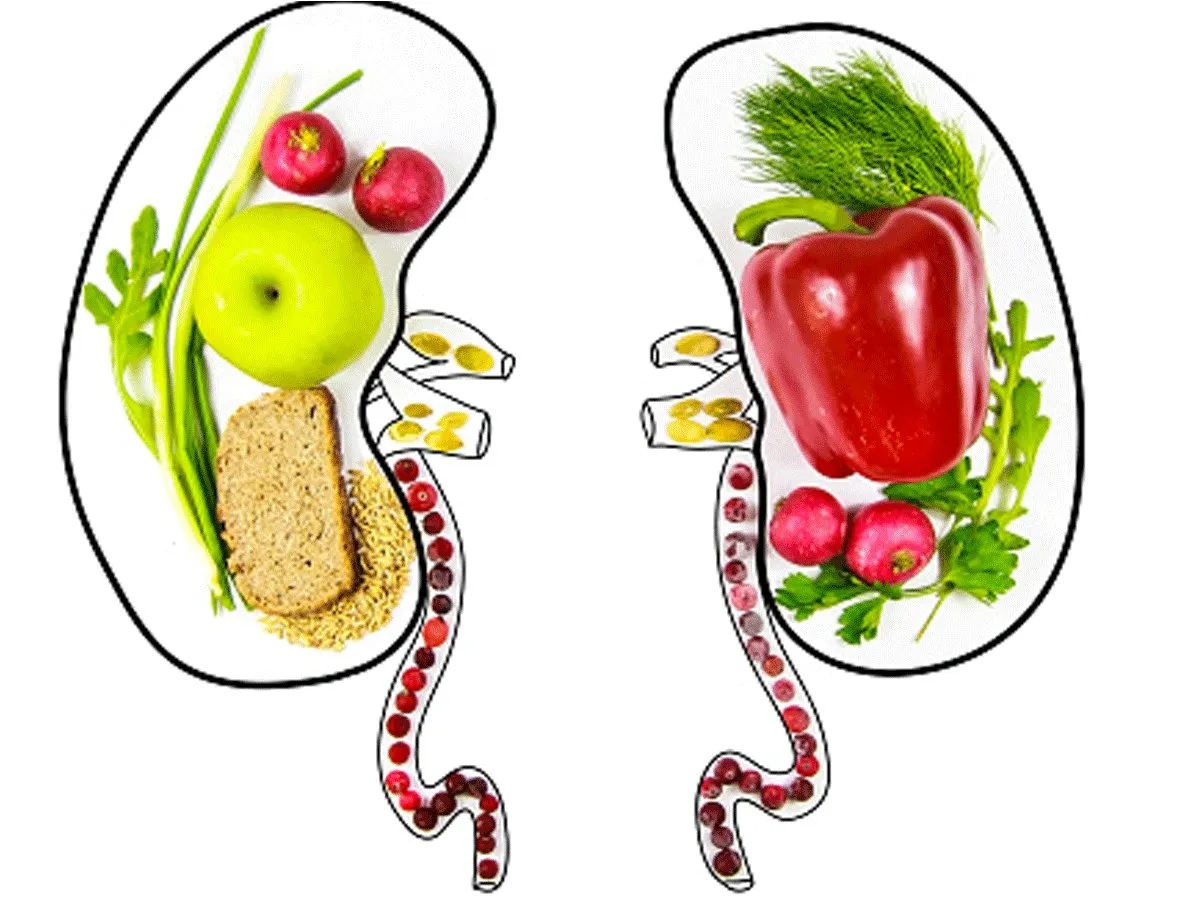 18-best-kidney-nutrition-facts