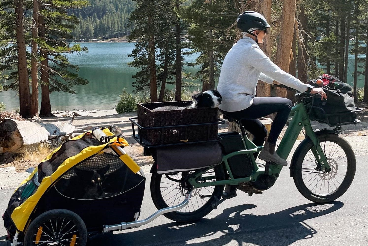 19-facts-about-cargo-ebikes