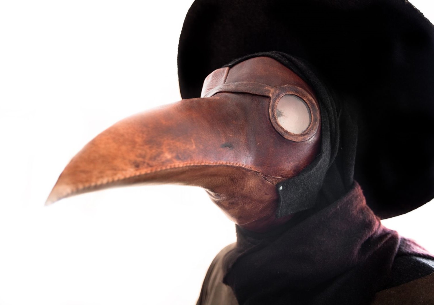 20-facts-about-bubonic-plague