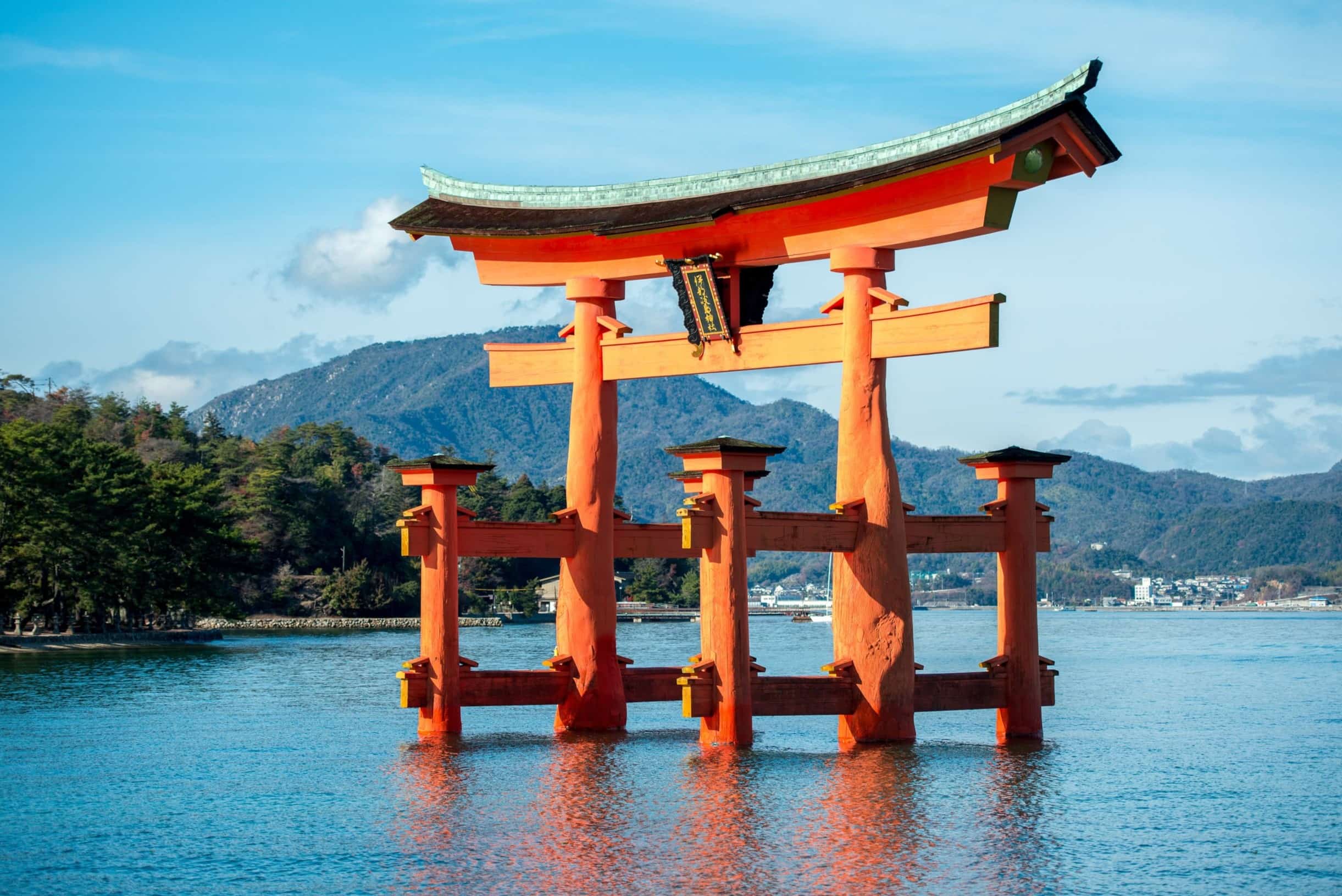 20-facts-about-torii