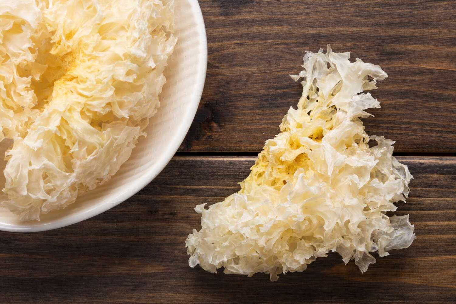 20-facts-about-tremella-mushroom