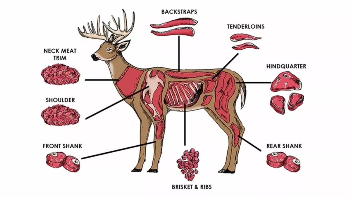 22-best-deer-meat-nutrition-facts