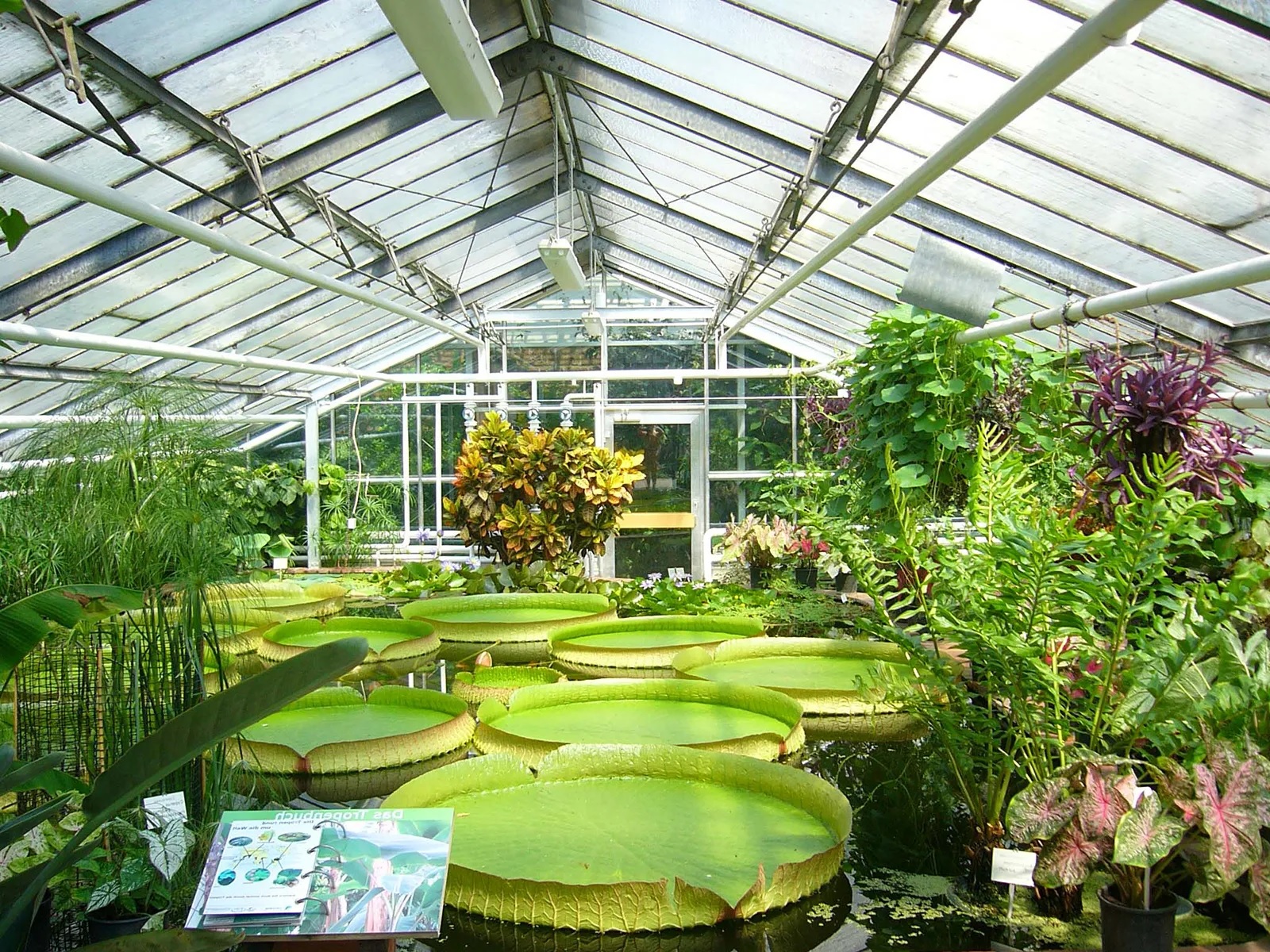 22-great-facts-about-greenhouses
