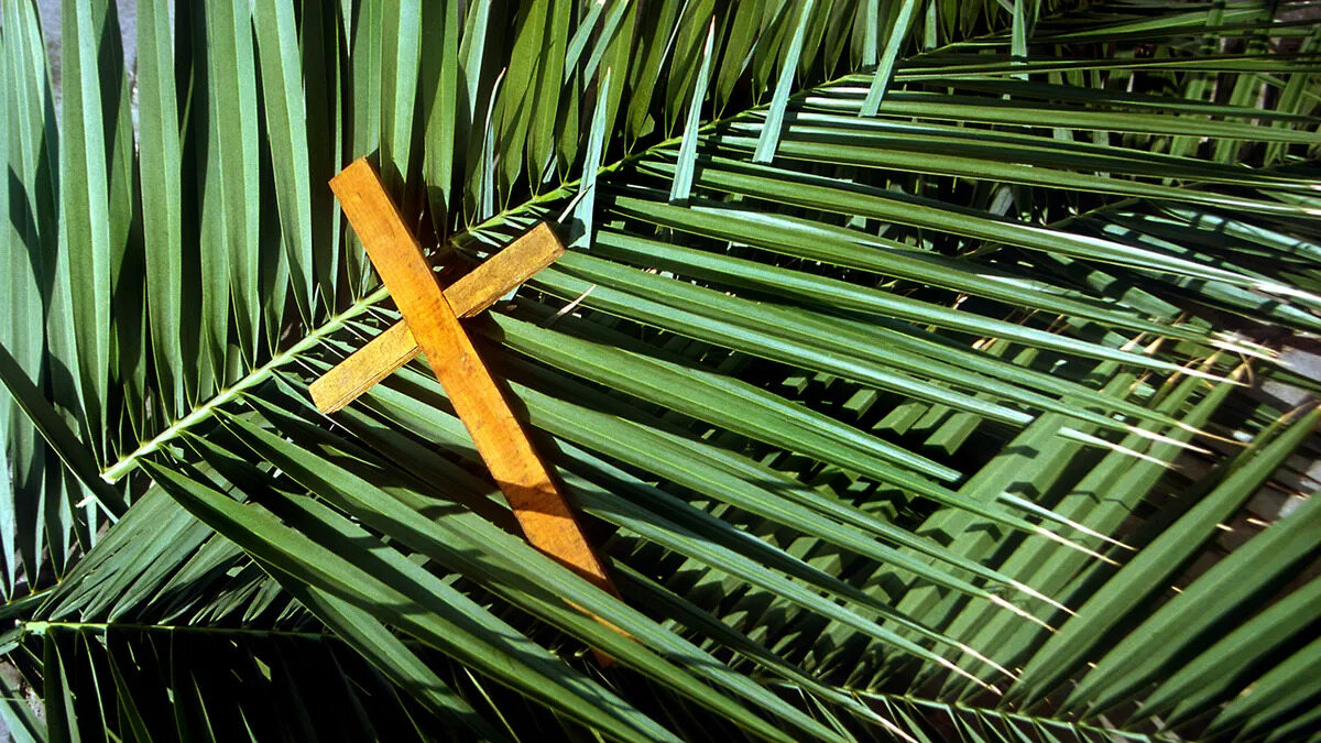 27-great-facts-about-palm-sunday