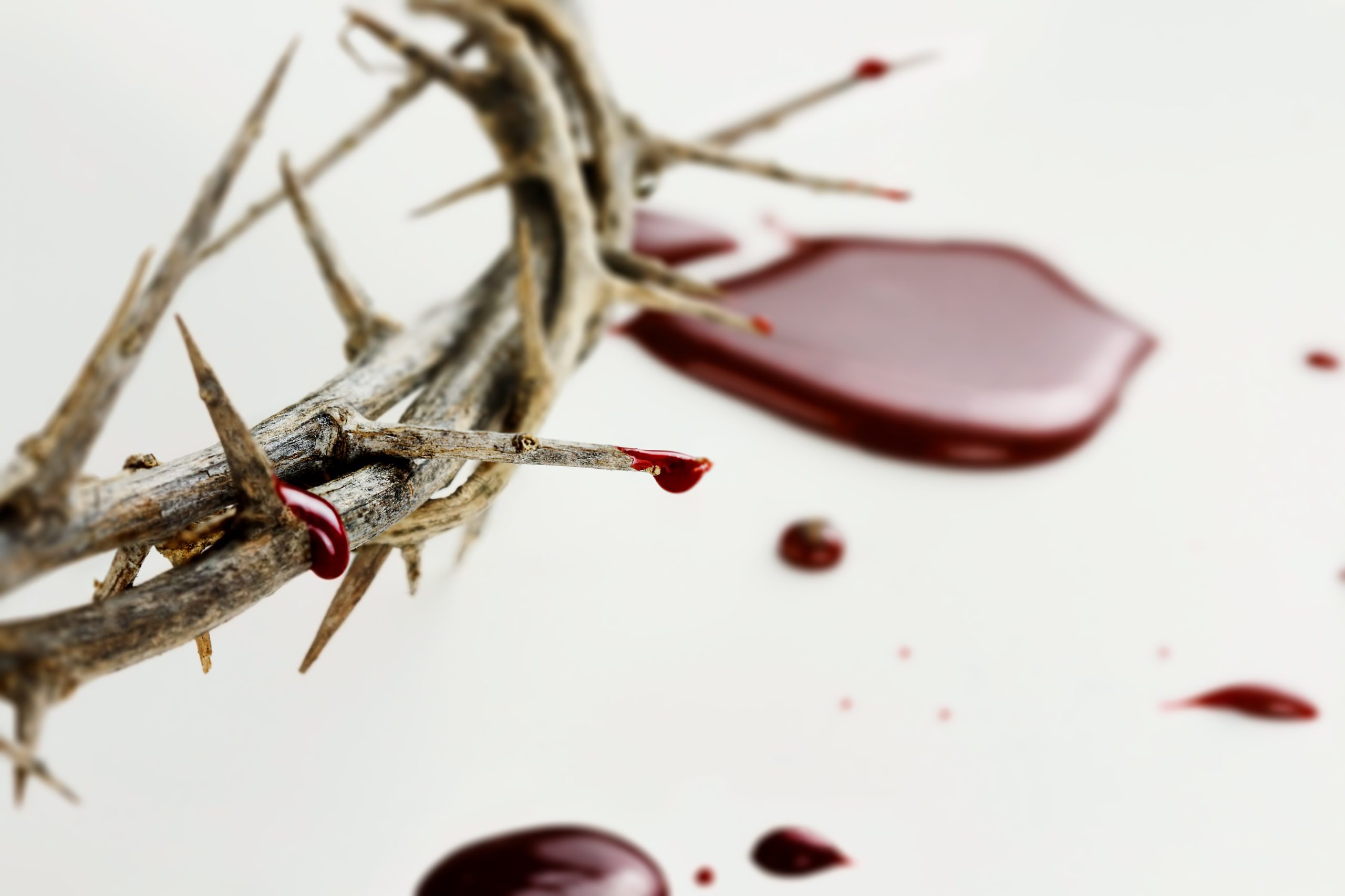 28-best-facts-about-the-blood-of-jesus