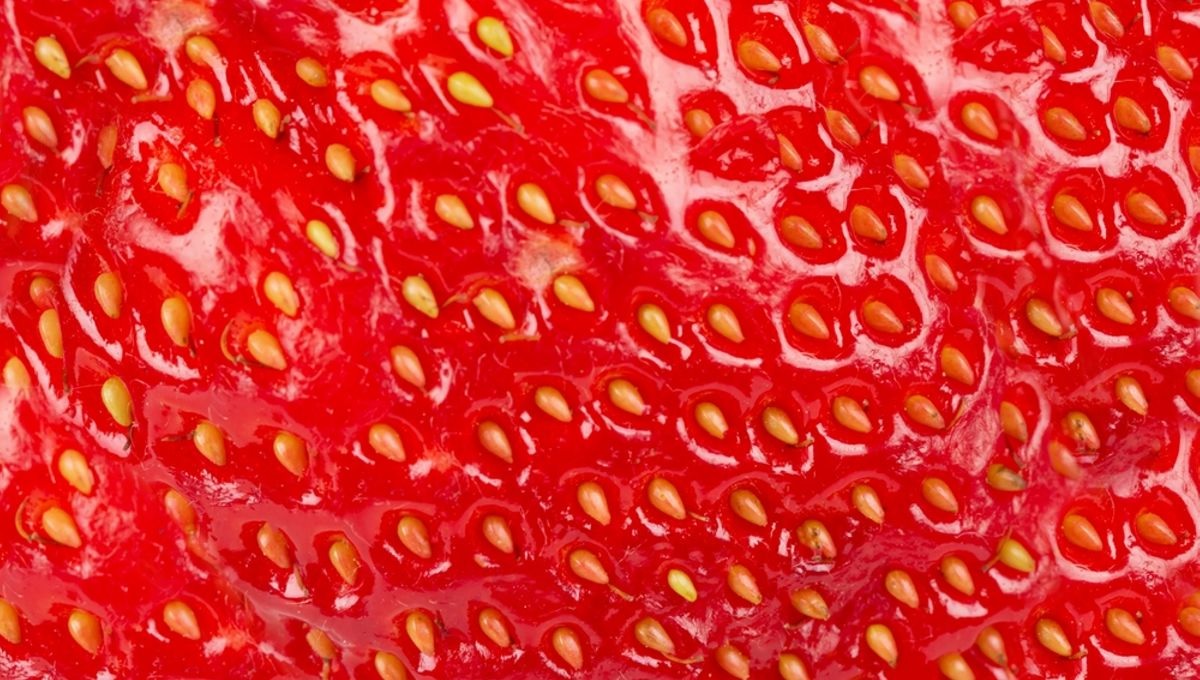 30-best-strawberry-seed-facts