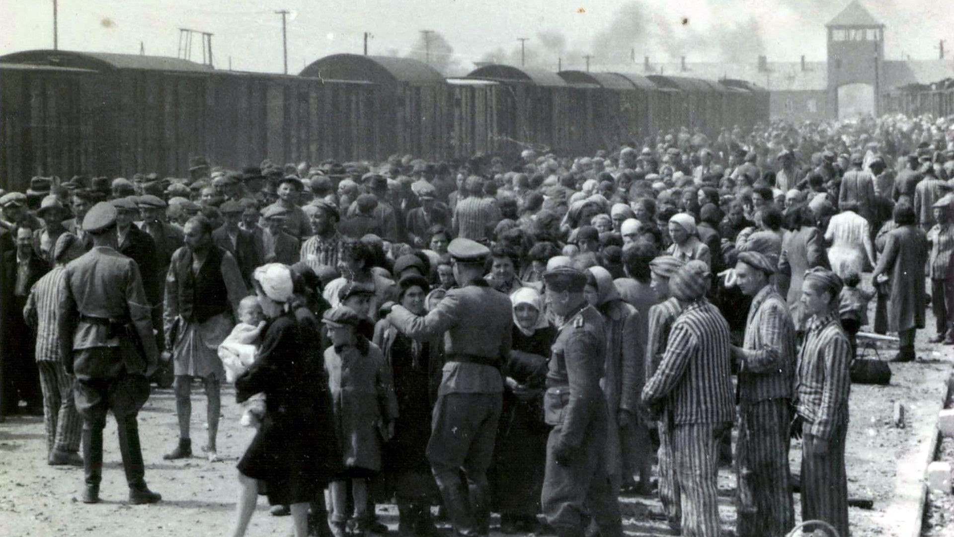 30-facts-about-auschwitz-concentration-camp