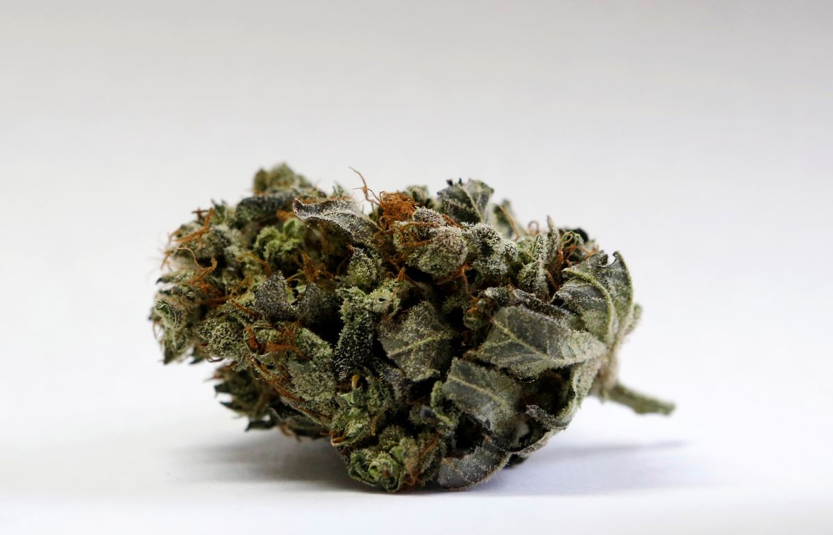 30-facts-about-marijuana-testing
