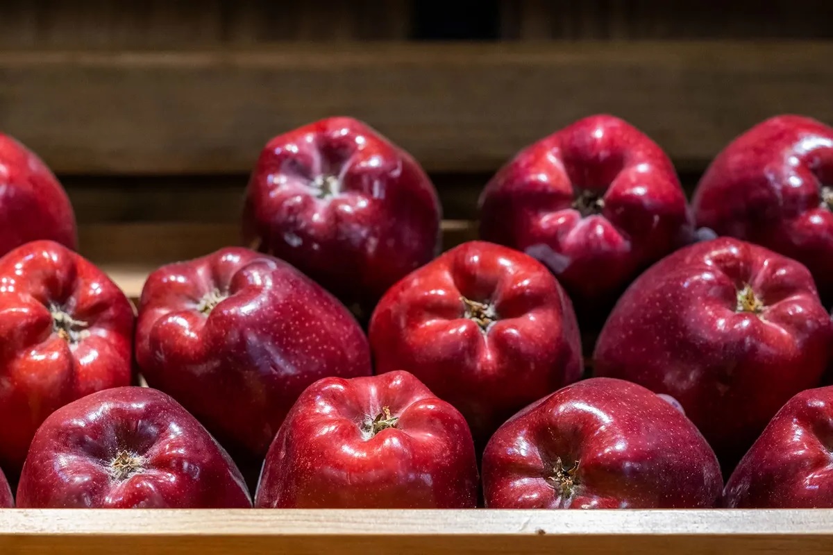 31-best-red-delicious-apple-nutrition-facts