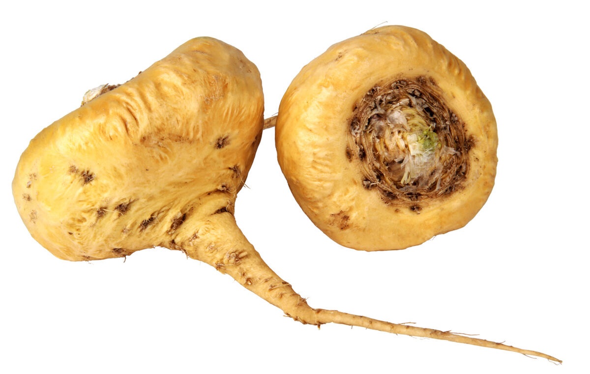 24 Types Of Edible Roots Facts 24 Types Of Edible Roots Facts