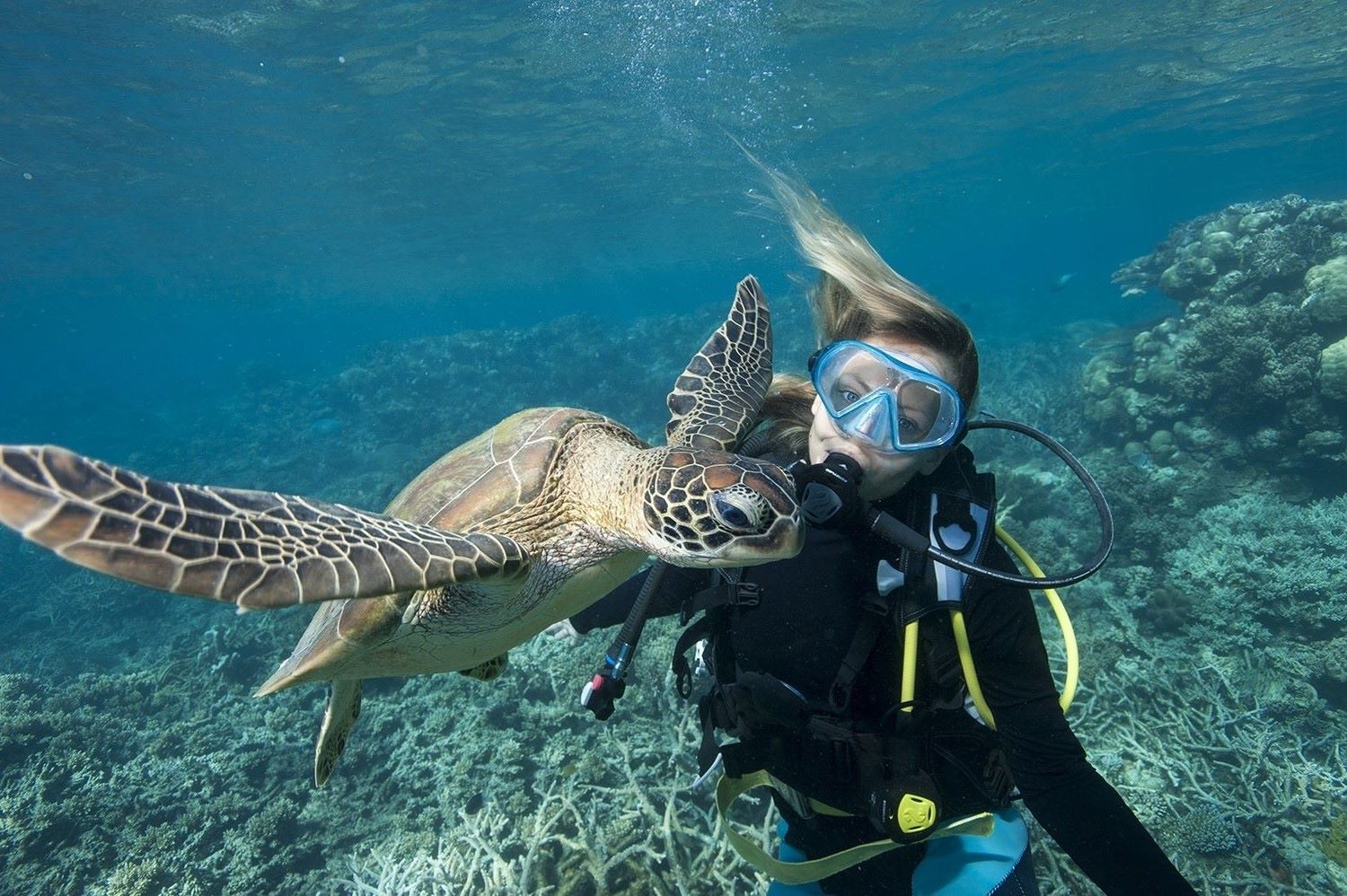 35-amazing-interesting-marine-biology-facts