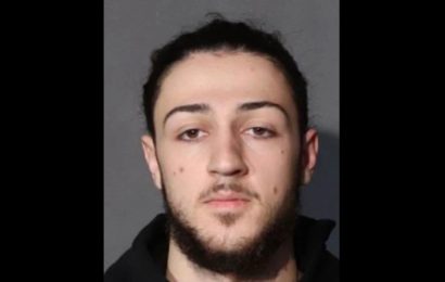 15 Facts about Squeeze Benz Antonio Ginestri