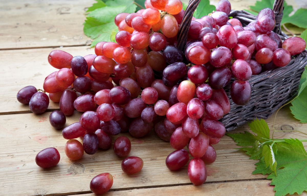 12-facts-about-calories-in-red-grapes
