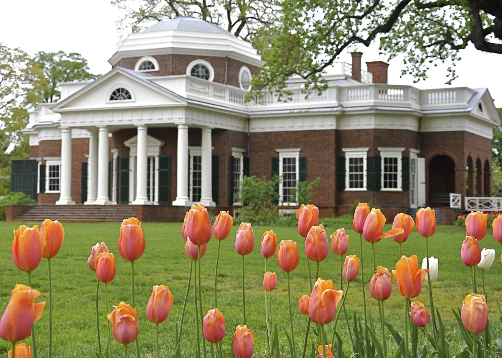 12-facts-about-facts-about-monticello