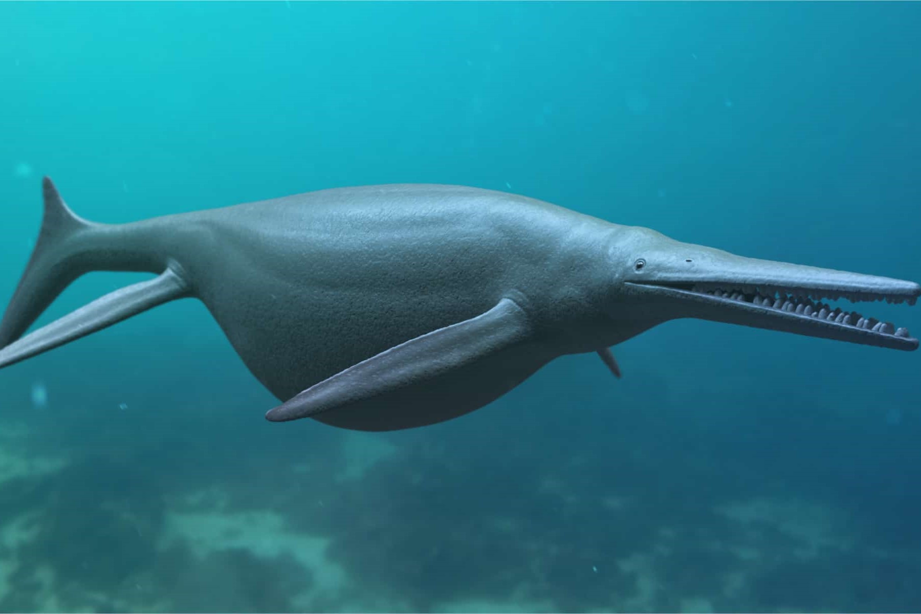 12-facts-about-ichthyosaurus