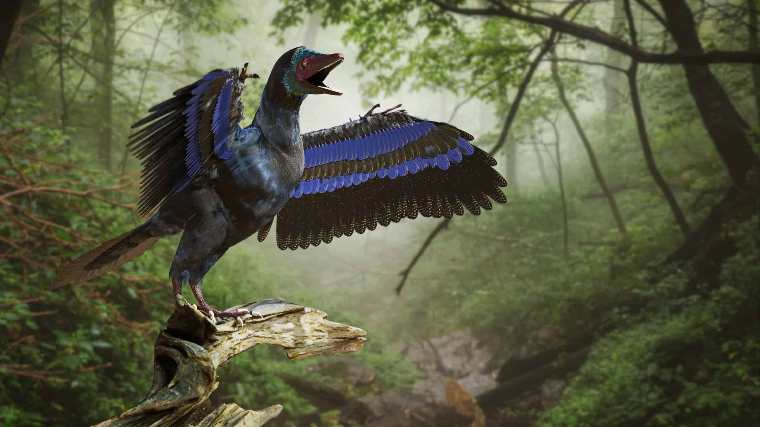 12-facts-about-what-is-a-archaeopteryx