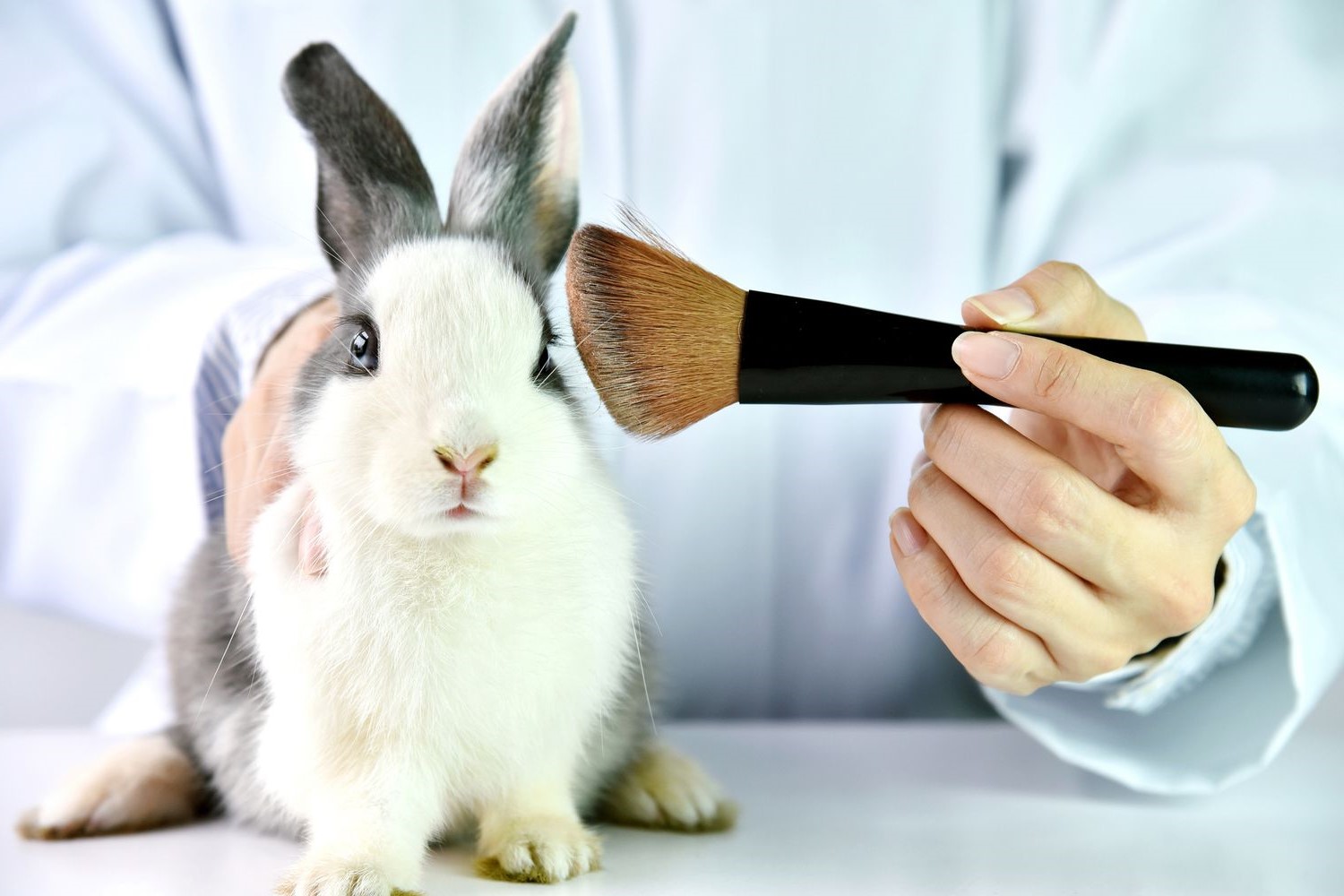 13-facts-about-animal-testing-makeup
