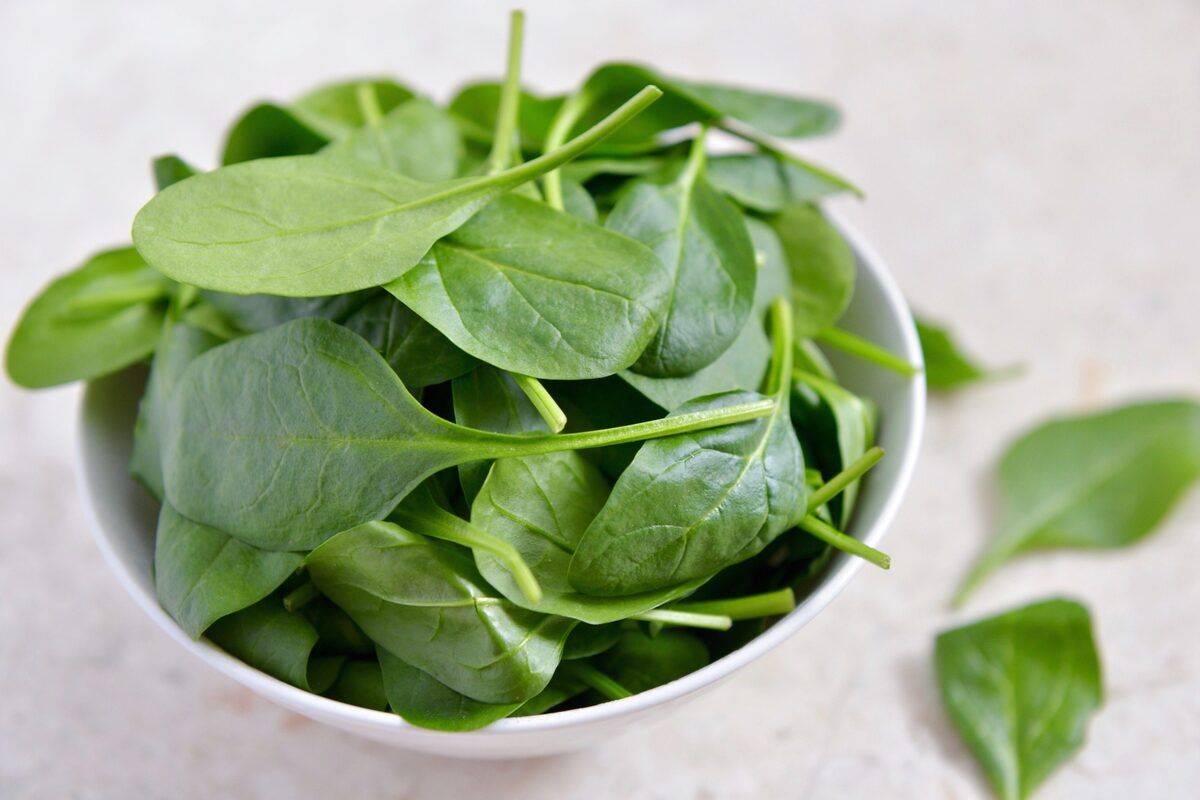 13-facts-about-baby-spinach-nutrition
