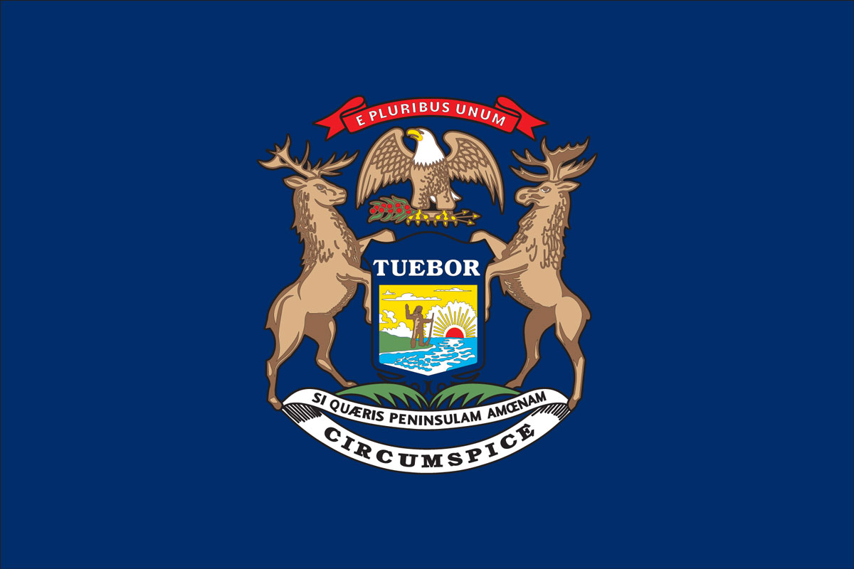 13-facts-about-michigan-flag