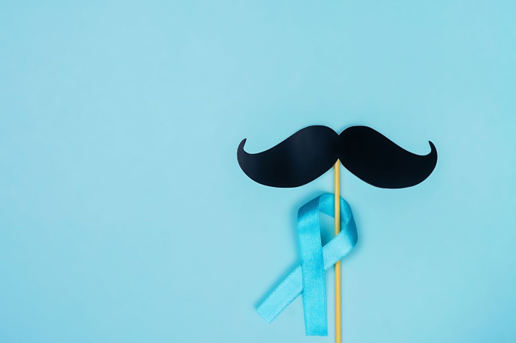 13-facts-about-movember-meaning