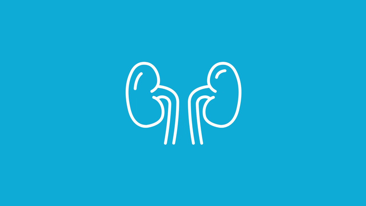 13-facts-about-what-is-renal-disease