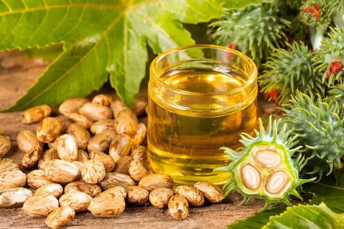 14-facts-about-castor-oil