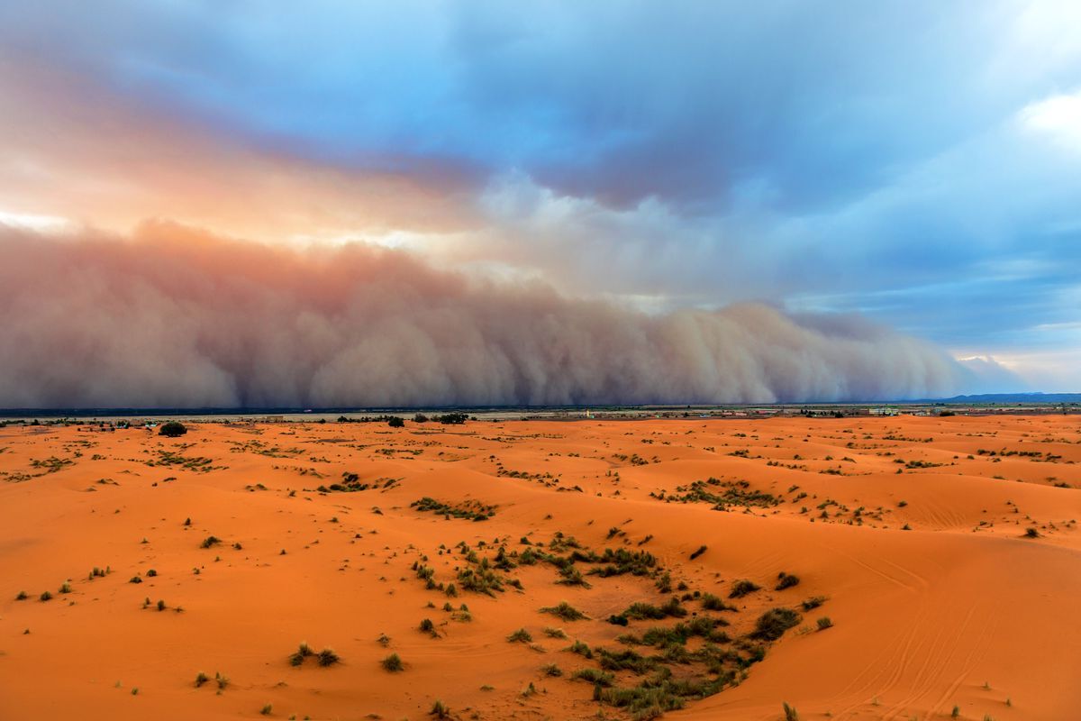 14-facts-about-sand-storm