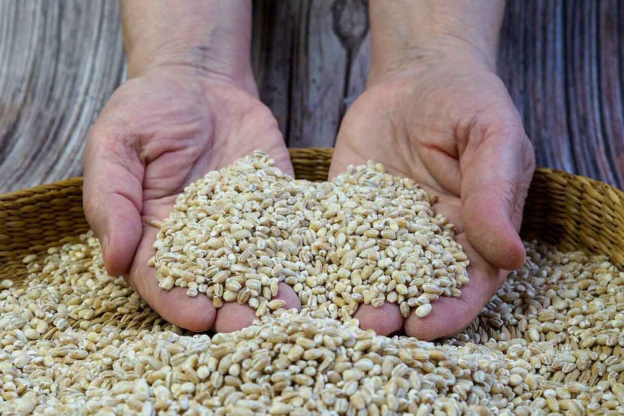 15-facts-about-pearl-barley-nutrition