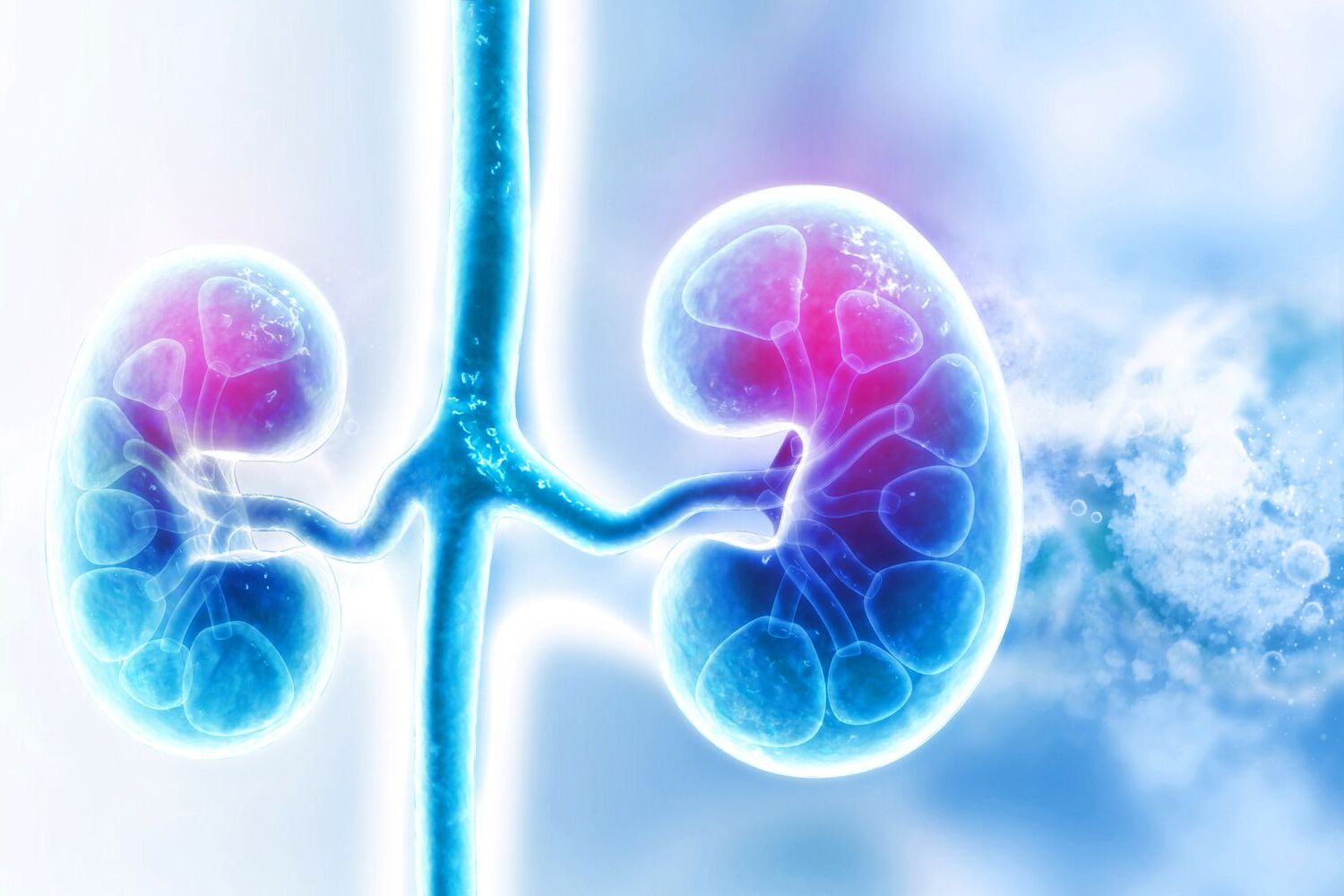 15-facts-about-polycystic-kidney-disease