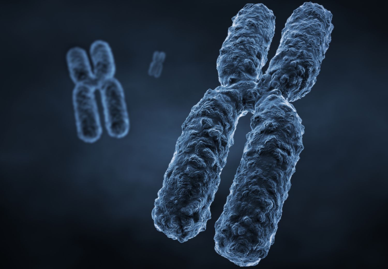 15-facts-about-x-and-y-chromosomes