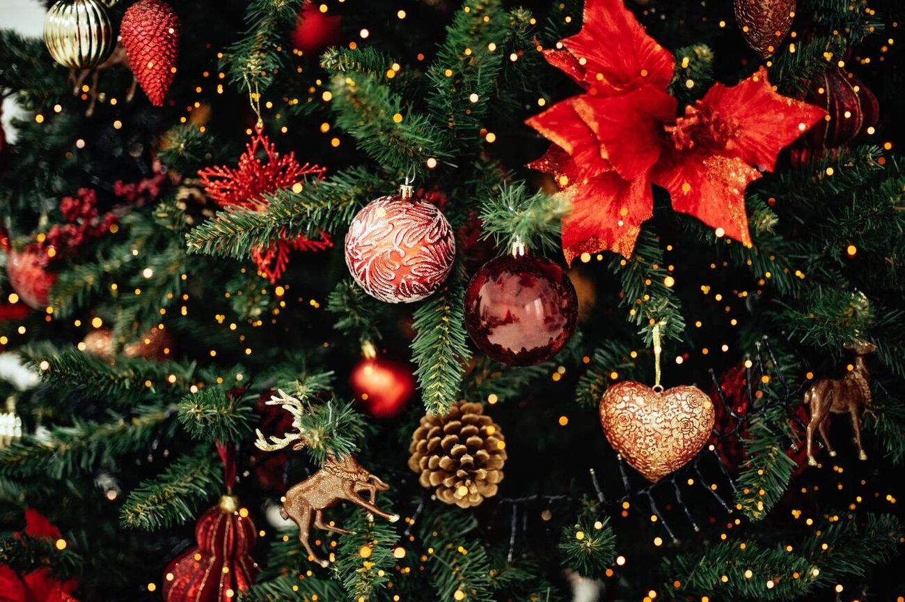 20-facts-about-christmas-tree-trivia