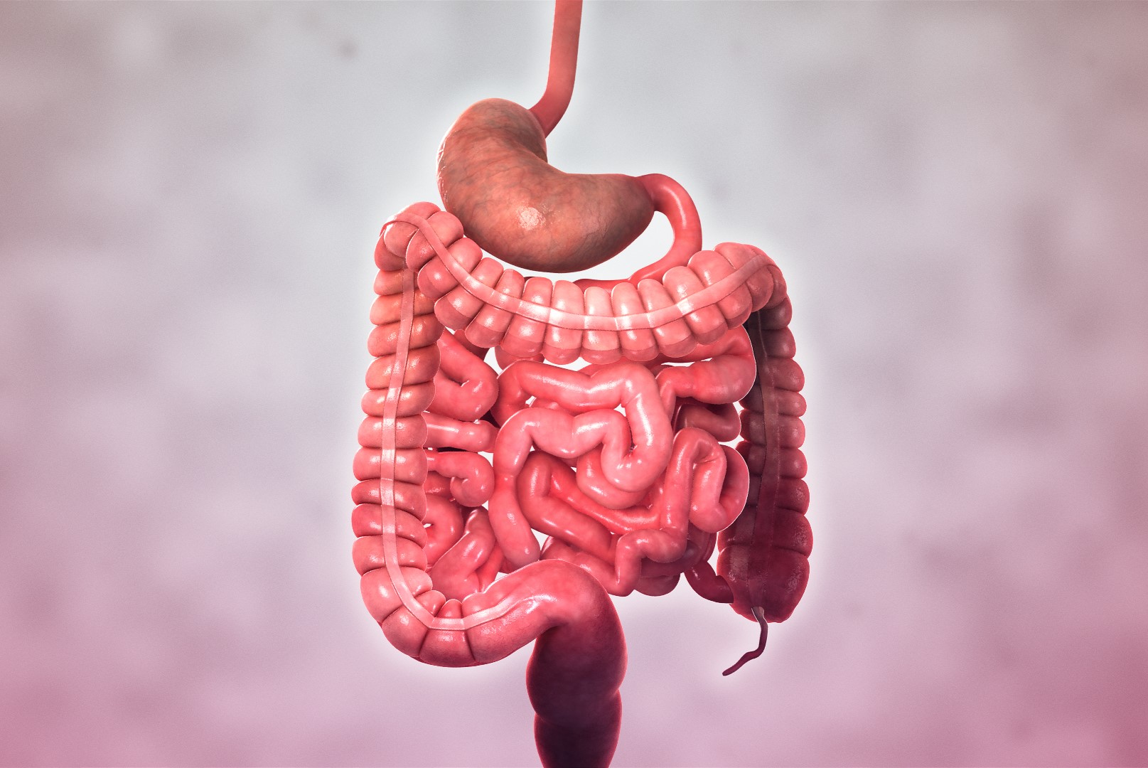 20-facts-about-crohns-disease