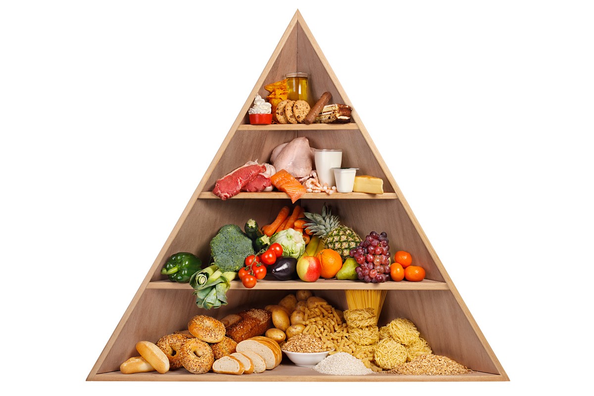 20-facts-about-food-pyramid