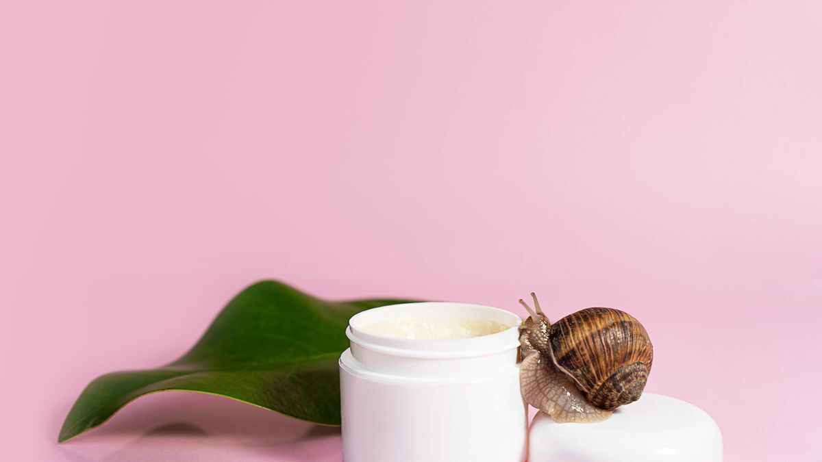 20-facts-about-snail-mucin