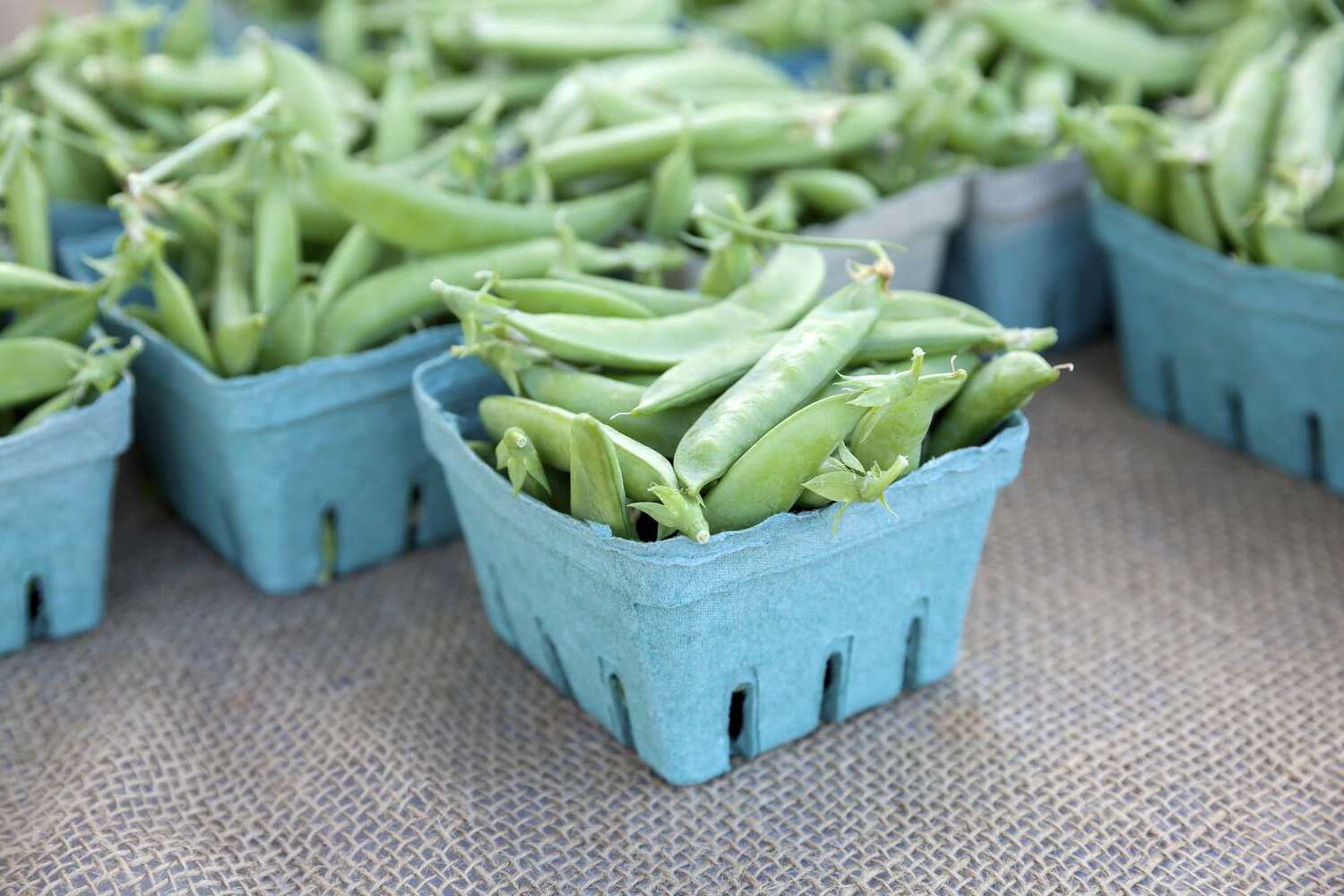 20-facts-about-sugar-snap-peas-nutrition