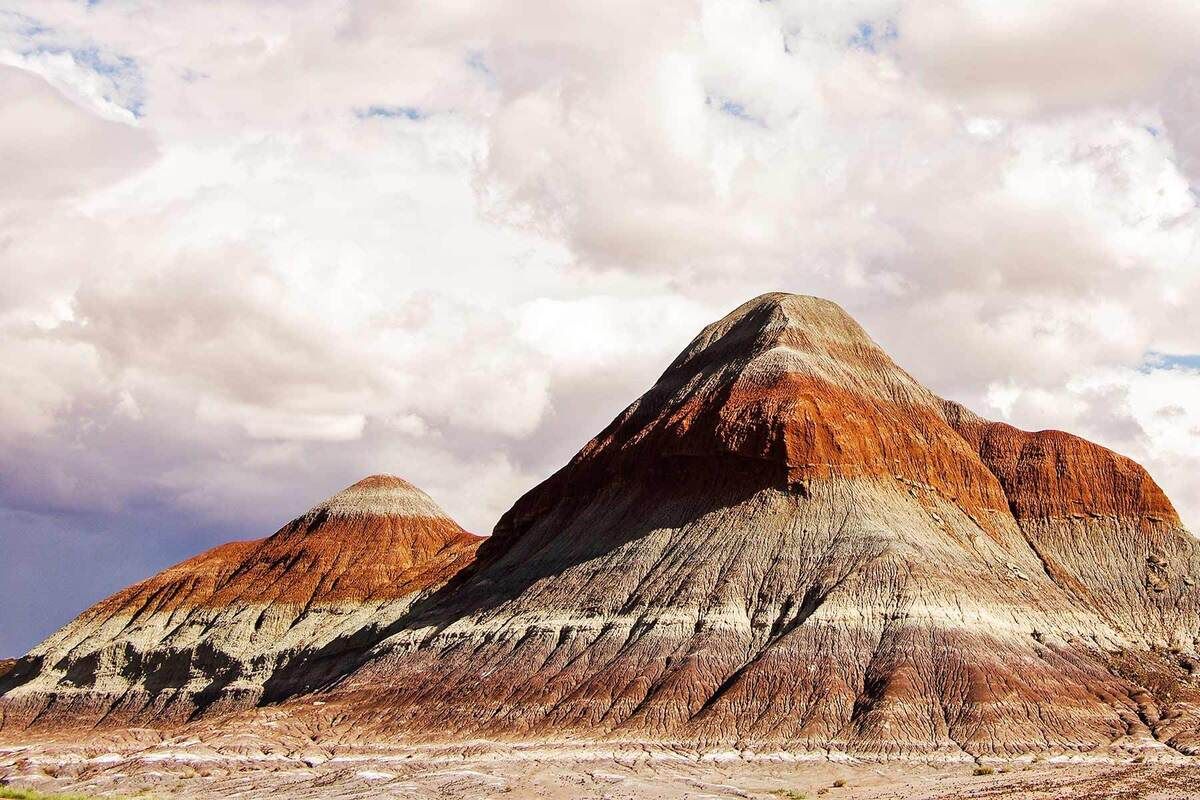 20-facts-about-what-is-a-petrified-forest