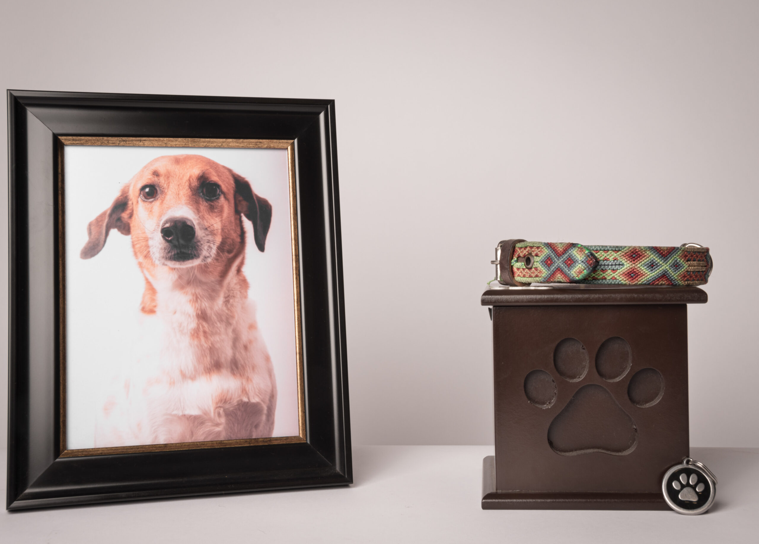 22-facts-about-pet-cremation
