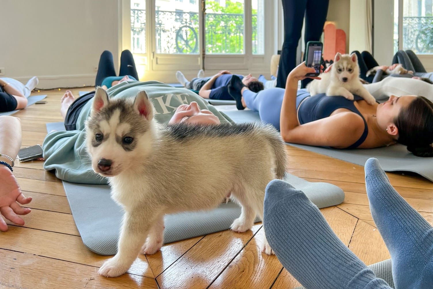 22-facts-about-puppy-yoga