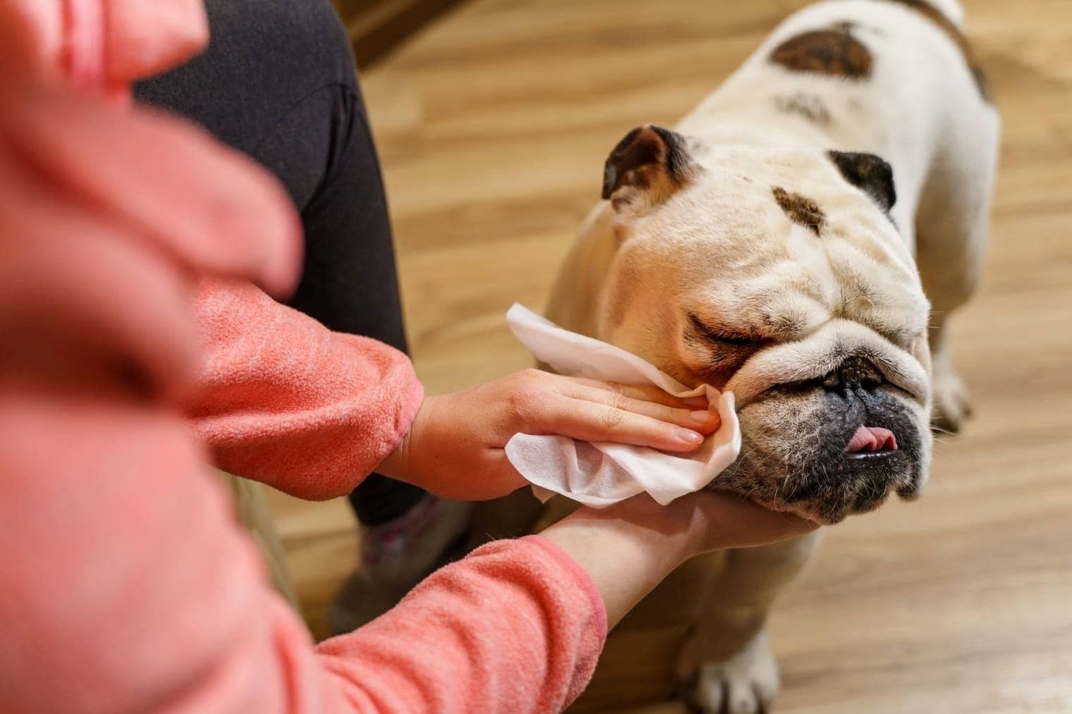 22-uses-for-dog-wipes