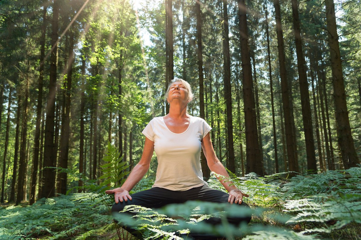 23-facts-about-forest-bathing