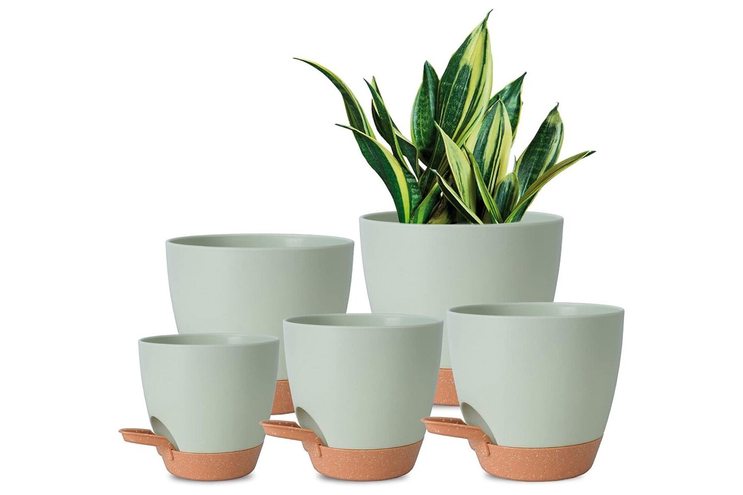 25-facts-about-self-watering-plant-pots