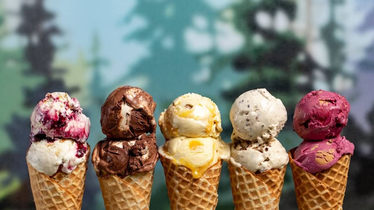 30-facts-about-ice-cream-social