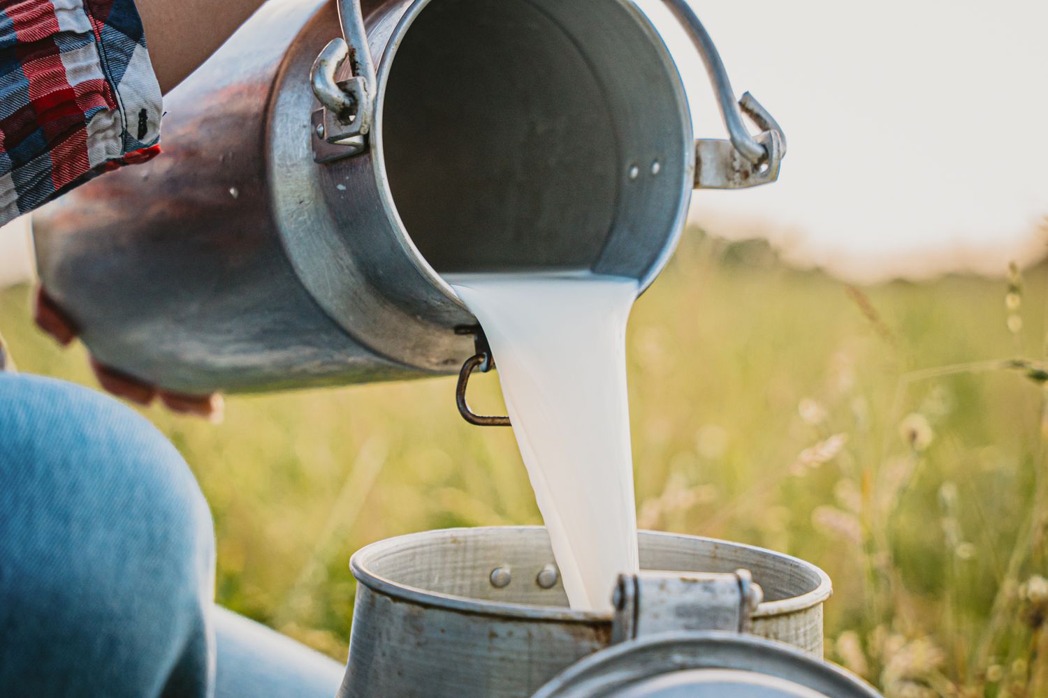 30-facts-about-raw-milk