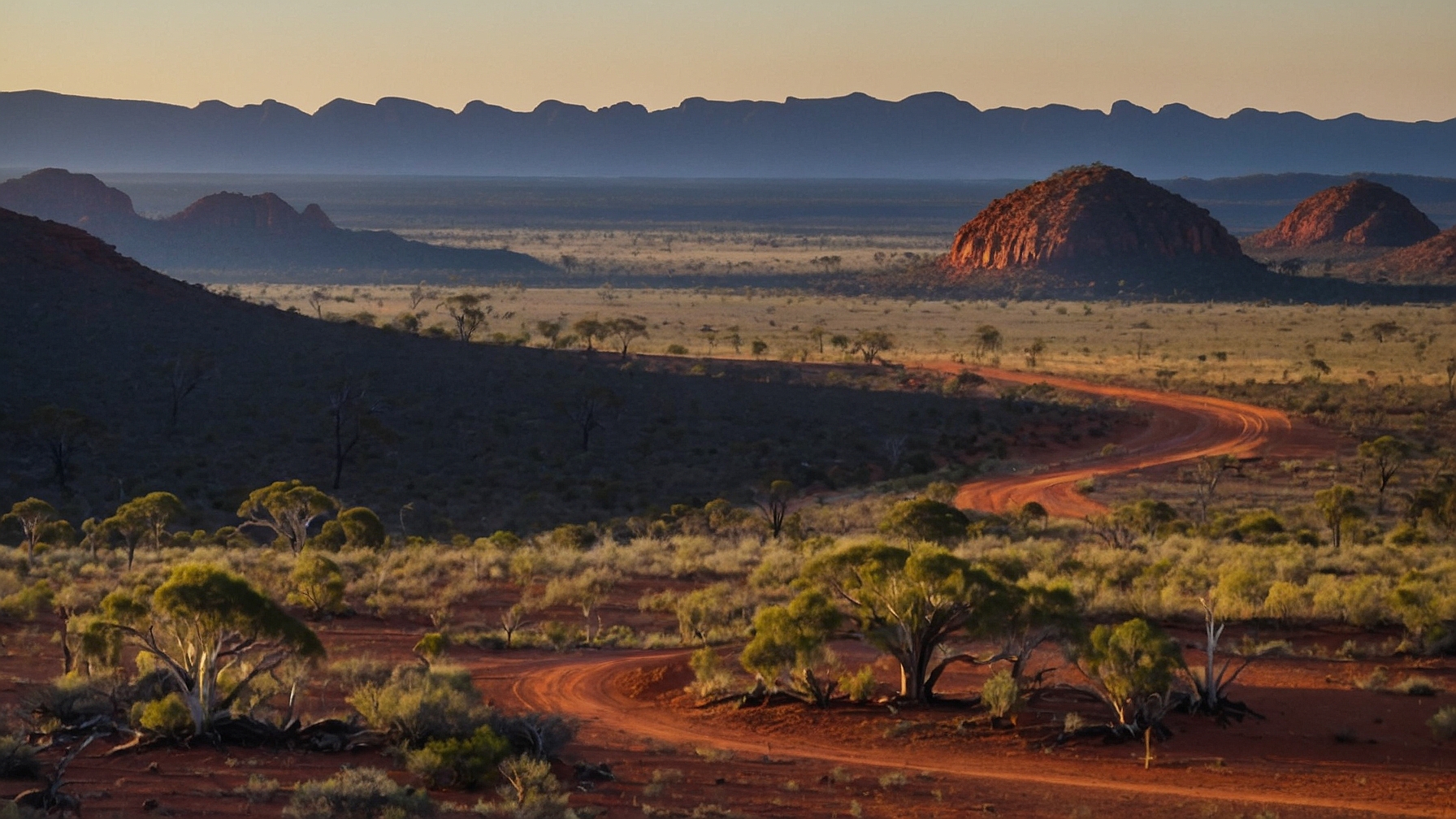20 Animals of the Australian Outback
