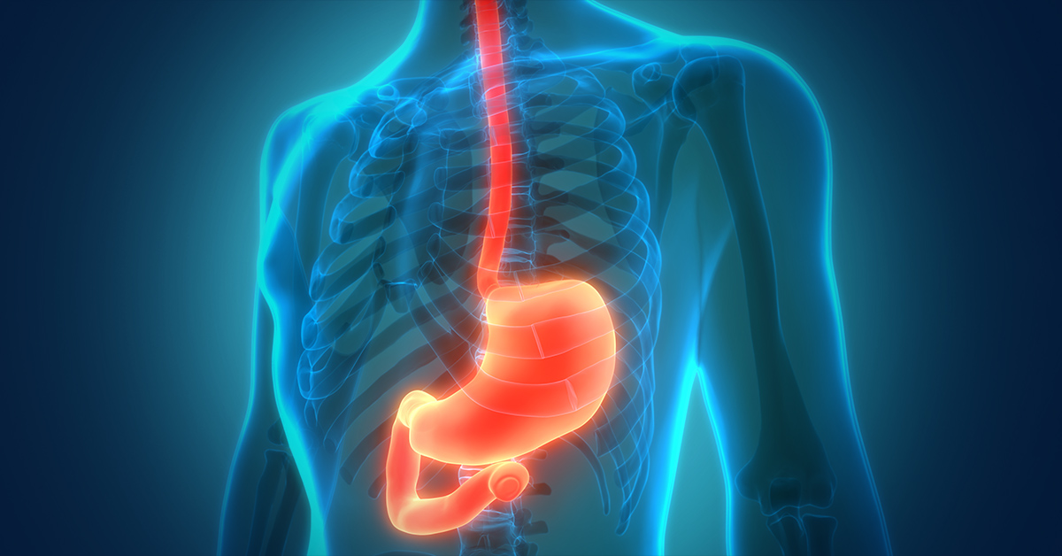 12-facts-about-esophagus